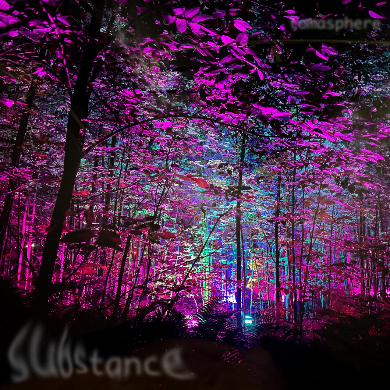 substance in the forest