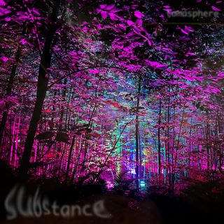 substance in the forest